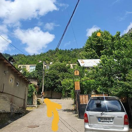 Nari Apartment Borjomi Ngoại thất bức ảnh